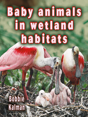 cover image of Baby animals in wetland habitats
